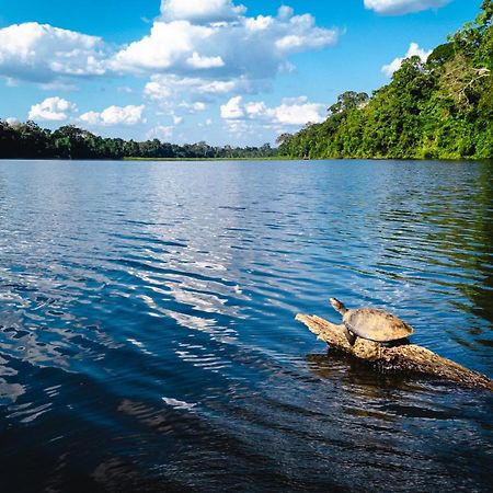 Tres Chimbadas Lake Lodge Tambopata 외부 사진