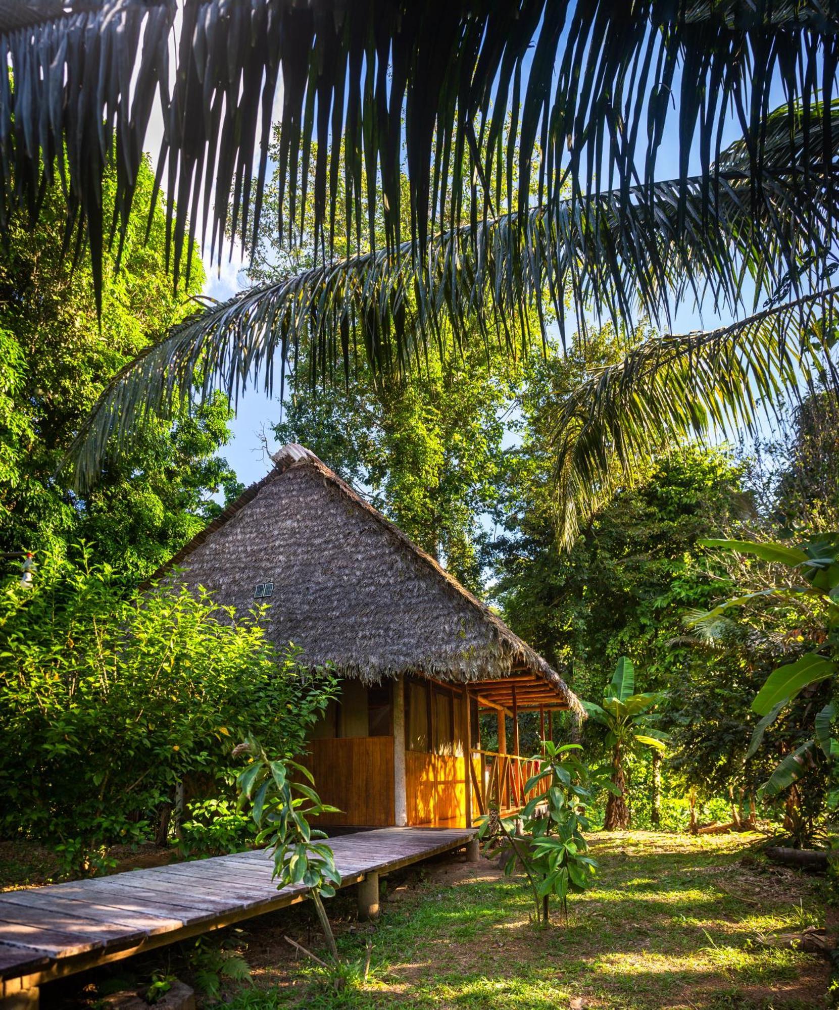 Tres Chimbadas Lake Lodge Tambopata 외부 사진